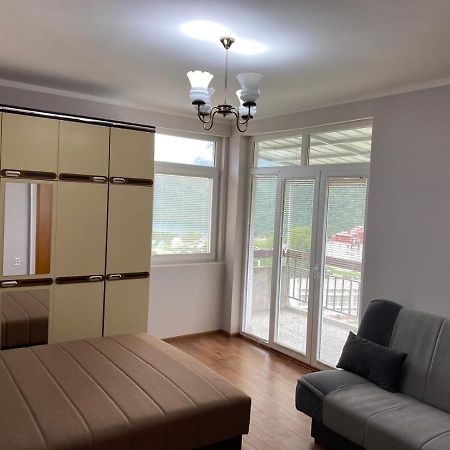Linden Apartment Plužine Dış mekan fotoğraf